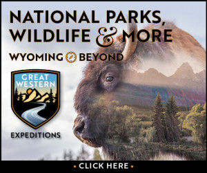 Wyoming Custom Tours