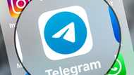 Telegram: The global rise of libertarian chat app