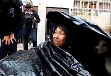 A Homeless Woman Sleeps In a Garbage Bag with Her Dogs