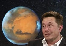 Elon Musk is Predicting the End of Humanity: Is He Right?