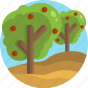 farming, farm, fruits, agriculture, trees, apple