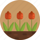 gardening, flowers, tulips, garden flower, nature