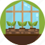 gardening, greenhouse, grow, house, plant 