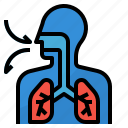 anatomy, biological, respiratory, system