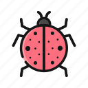 animal, bug, insect, ladybug, pest