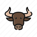 agriculture, animal, buffalo, bull, farm, mammals, ox