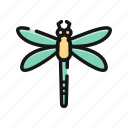 animal, bug, dragonfly, fly, insect, spring