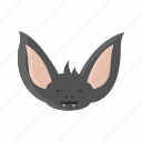 animal, bat, face, mammals, night, vampire