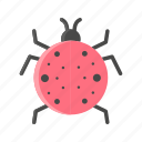 animal, bug, ladybug, pest