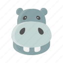 animal, hippo, hippopotamus, mammals, water