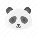 animal, china, mammals, panda, zoo