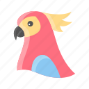 animal, bird, cute, parrot