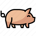 animal, kingdom, life, pig, wild, zoo