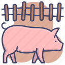 animal, farm, pig, piglet