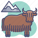 animal, bison, buffalo, yak