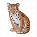 animal, cat, mammal, predator, tiger, wild, zoo