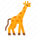 animals, giraffe, wild, zoo