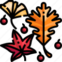 autumn, fall, garden, leaf, maple