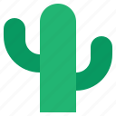 cactus, desert, nature, botany, plant, dry, garden