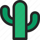 cactus, desert, nature, botany, plant, dry, garden