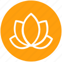 american lotus, beauty, flower, lotus, relax, spa, wild spring flower