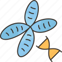 chromosome, dna, gene, genome, biology