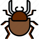 beetle, bug, dung, insect, nature