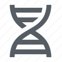 chromosome, dna, genetic, molecule, science