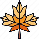 autumn, fall, leaf, leaves, maple, nature, season