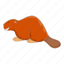 animal, beaver, pet, wild