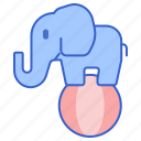 animal, ball, circus, elephant