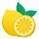 lemon slice, lime slice, citrus, fruit, lemon