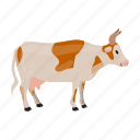 animal, cow, domestic, farm, mammal, pet