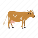 animal, cow, domestic, farm, mammal, pet