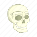 bone, cartoon, death, halloween, head, human, skull