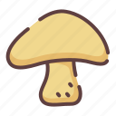 vegetable, cooking, mushroom, fungus