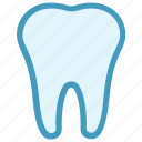 dental, dentist, stomatology, teeth, tooth