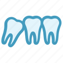 dental, dentist, stomatology, teeth, tooth