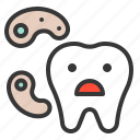 bacteria, dental, dental care, dentist, dentistry, health, tooth