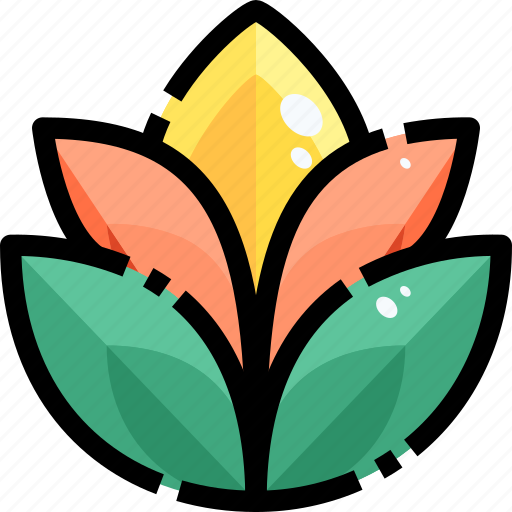 Blossom, botanical, flower, garden, lotus, nature icon - Download on Iconfinder