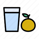 beverage, drink, glass, juice, orange