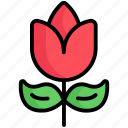 rose, flower, plant, nature, leaf, garden