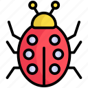 ladybird, bug, animal, insect, ladybug, nature