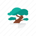 bonsai