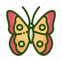 animal, bug, butterfly, ecology