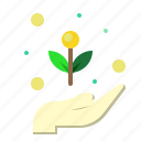 ecology, growth, hand, plant