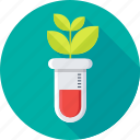 botany experiment, chemistry, experiment, lab research, laboratory