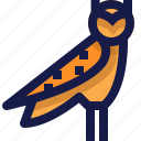 ancient, animal, bird, egypt, egyptian, owl, predator