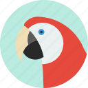 animal, beak, bird, exotic, macaw, tropical, wild