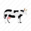 agriculture, animal, beef, bull, cattle, conservation, cow